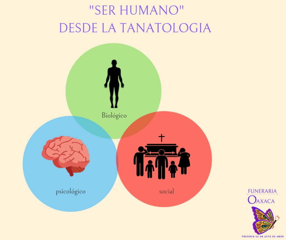 El ser humano desde la tanatologia